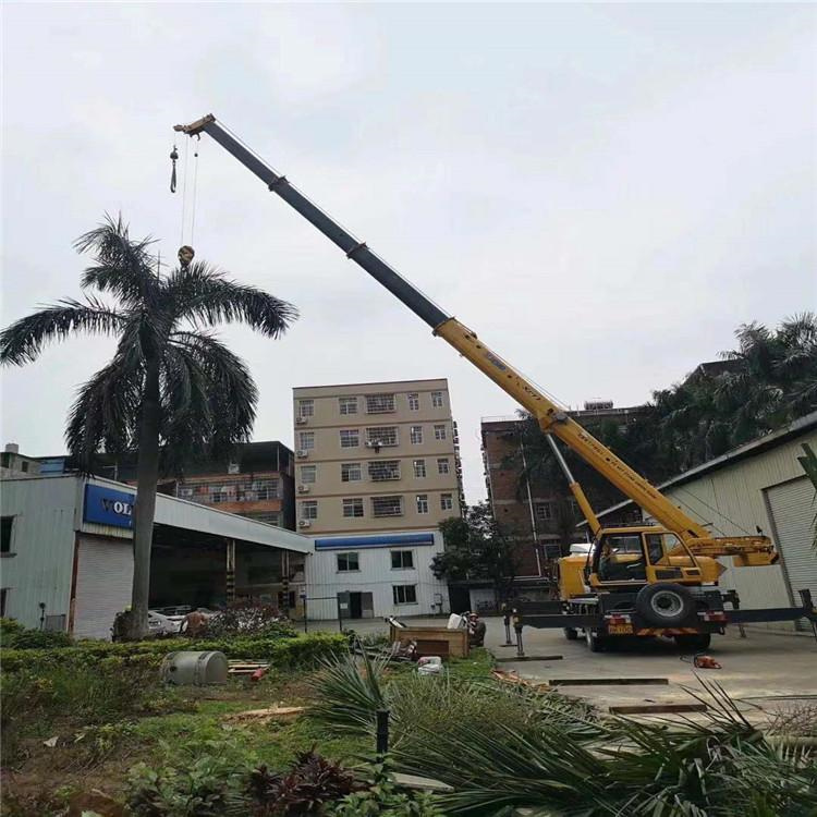 合江汽车吊出租多少钱？全面解析与市场行情